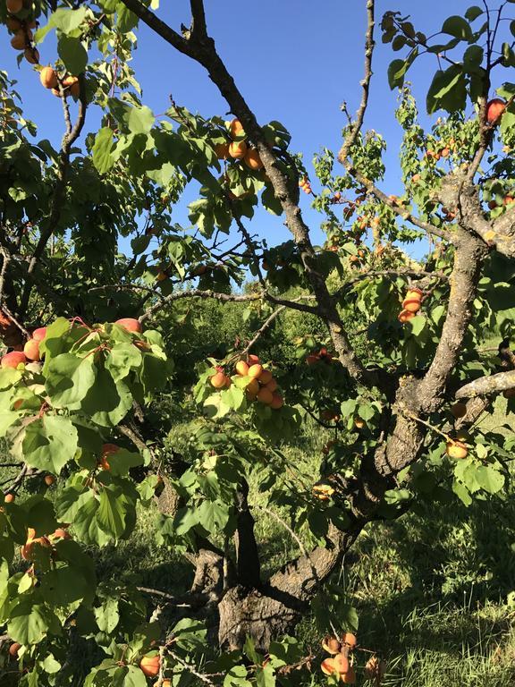 ホテルAgriturismo Ca Lunati Castelletto Mendosio エクステリア 写真