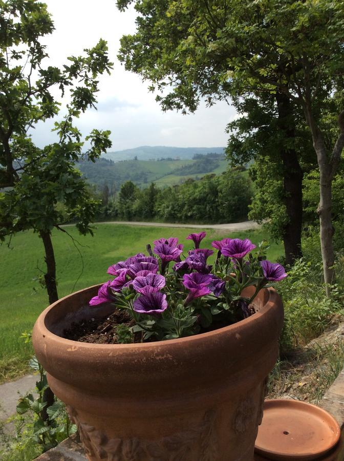 ホテルAgriturismo Ca Lunati Castelletto Mendosio エクステリア 写真